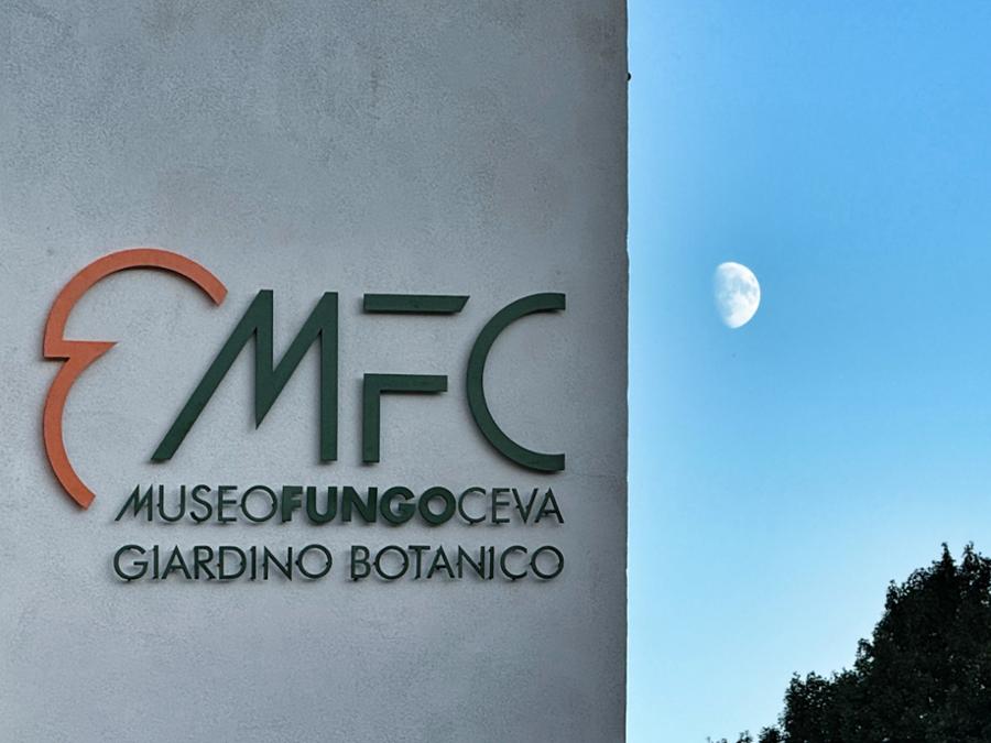 MUSEO DEL FUNGO - CEVA